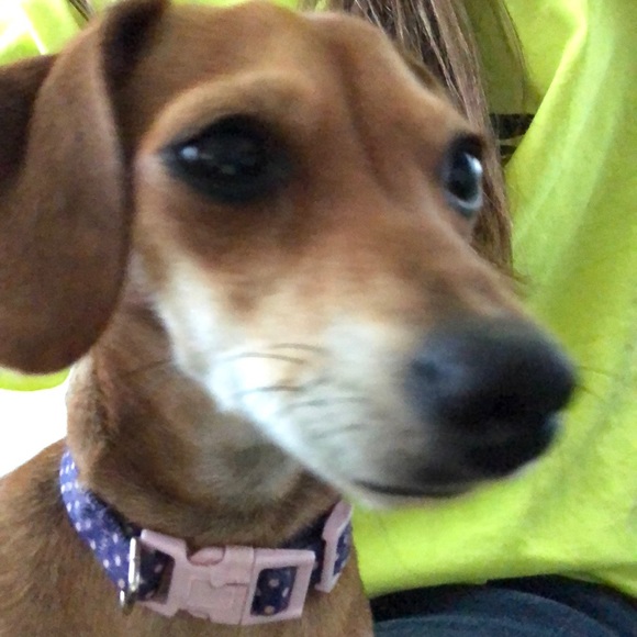 Meet your Posher, Megan - Picture 1 of 1